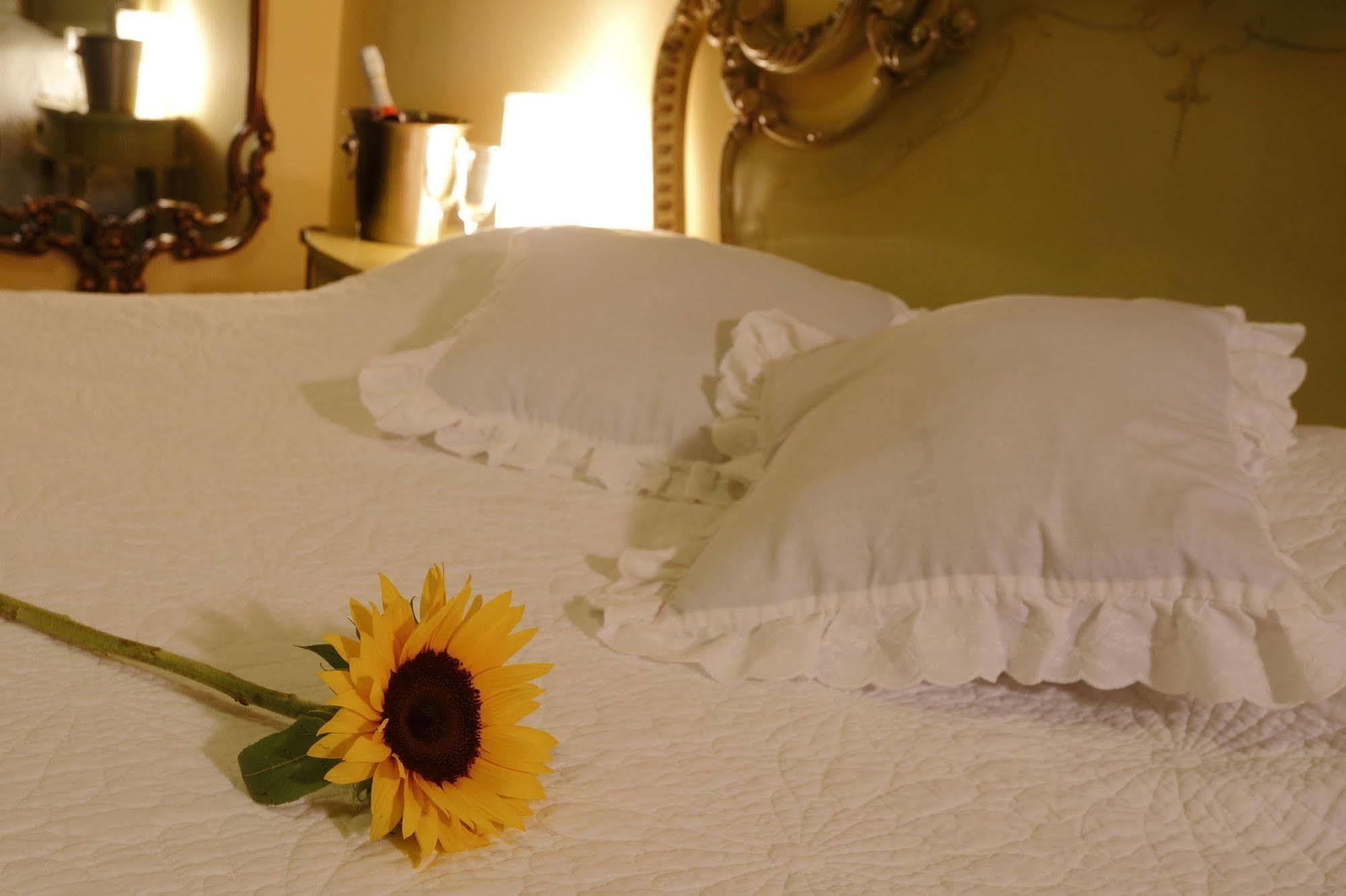 Bed & Breakfast - La Casa De Ceci Lima Luaran gambar
